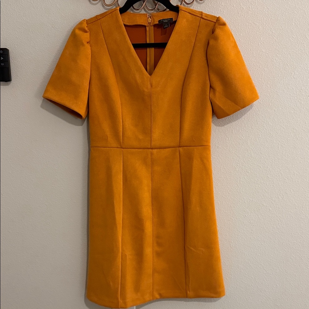 Ann Taylor Factory Velvet Orange Dress